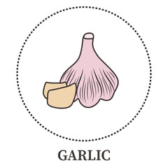 Abstract thin line garlic icon isolated on white background - Vector illustration