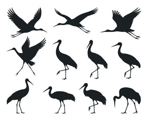 Naklejka premium Collection of Black and White Crane Silhouettes in Various Poses cranes flight standing positions crane bird silhouette black white flying standing animal wildlife