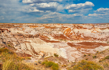 Petrified Forest National Park is a national park of the United States in Navajo and Apache counties in northeastern Arizona, famous for petrified logs, fossils, badlands,  ancient petroglyphs, painte