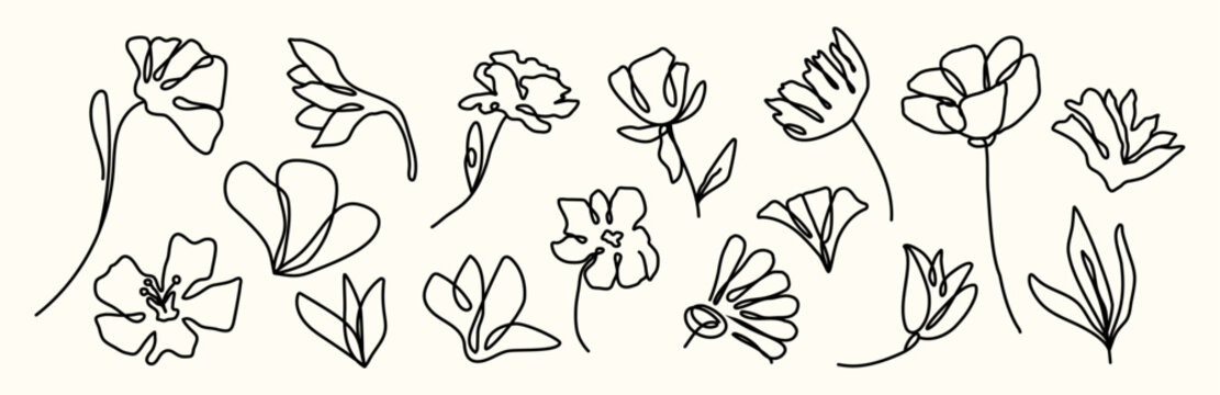 Set of flowers in line style. Editable stroke. Botany. Design elements. Print. Tattoo. Doodle ink. Bouquet. Grunge chalk. Mark scribble. Minimalist decor. Wedding silhouette. Outline. Curved plant.