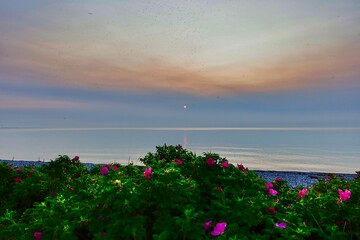sunset over the sea