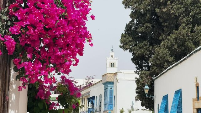 Charming Street in Sidi Bou Said With Pink Bougainvillea and Mosque Minaret