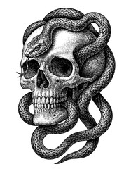 Snake Wrapped Skull Vintage Engraving Illustration &ndash; Vector and PNG Isolated on Transparent Background