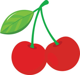 cherry vector illustration