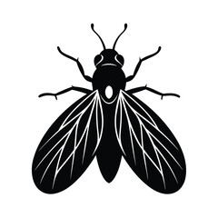 whitefly silhouette vector