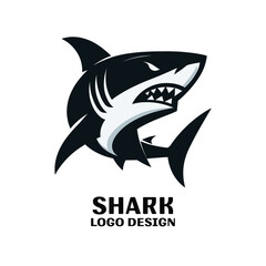 Shark Vector Logo Design