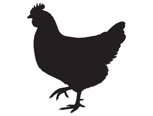 CHICKEN SILHOUETTE