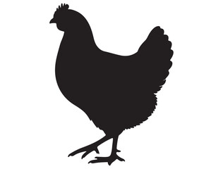 CHICKEN SILHOUETTE