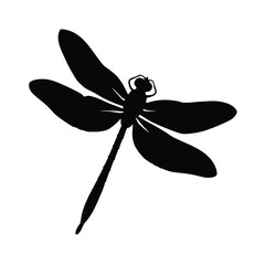 dragonfly on white background