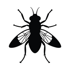 gall gnat silhouette vector