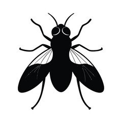 fruit fly silhouette vector illustration