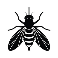 fly silhouette vector