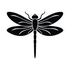 dragonfly vector illustration