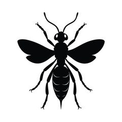 Fototapeta premium braconid wasp vector