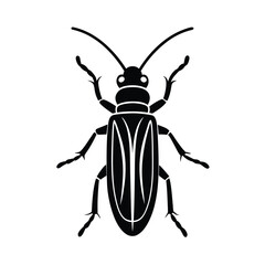 blister beetle silhouette vector