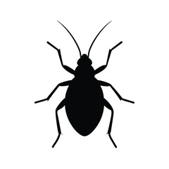 vector illustration of a  aphid silhouette