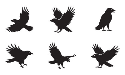 Fototapeta premium Crow silhouette vector collection flying and standing bird black illustration