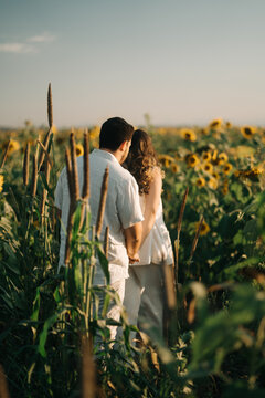 casal no campo de girassol