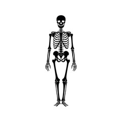 Black Silhouette Human Skeleton Anatomy Illustration