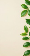 Fototapeta premium Cream Background with Lush Green Leaves: Minimalist Botanical Flatlay