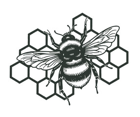 Detailed Illustration of a Bee on a Honeycomb Pattern Background