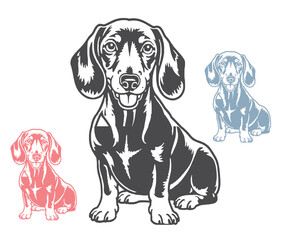 Stylized Dachshund Dog Illustration in Black Pink and Blue on White Background
