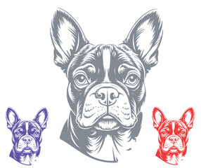 Detailed French Bulldog Head Vector Illustration in Multiple Colors and Styles