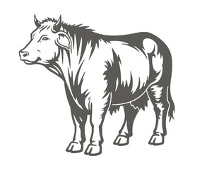 Monochrome Illustration of a Robust Cow Standing with a Calm Demeanor