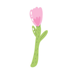 Cheerful floral vector featuring pink tulip in full bloom. Decorative elements and soft pastel colors create a romantic and fresh seasonal mood.