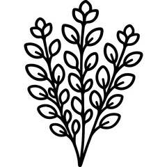 Obraz premium Marjoram bunch outline icon vector