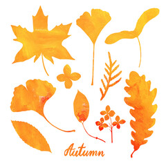 Autumn leaves in collage technique. Bright orange autumn leaves. Use as print, poster, postcard, package, label, sticker.