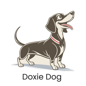 Doxie dog vector illustration