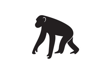 Obraz premium Chimpanzee silhouette.