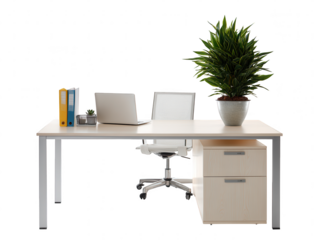 Modern Office Desk Setup with Laptop, Chair, and Potted Plant