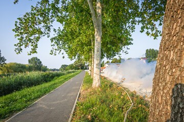 Mosquito fumigation
