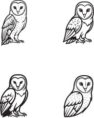 vector illustration of barn owl bird