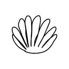 Fototapeta premium Cute black hand-drawn seashell icon in doodle marine style, perfect for summer beach designs, kids’ books, coastal packaging, or vacation-themed branding in transparent SVG format