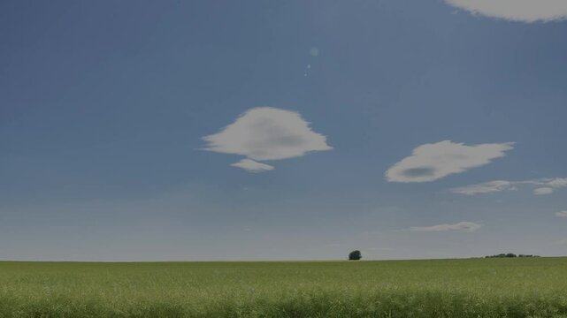 zeitraffer von Lenticularis Wolken  &uuml;ber einem gr&uuml;nem Feld im Sommer