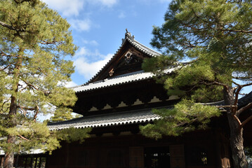 Fototapeta premium 大本山大徳寺 法堂(京都市北区)