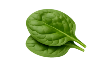 Fresh green spinach leaves on black background healthy food concept diet 70 on transparent background
