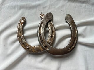 two rusty horse shoes