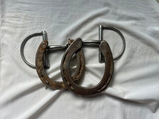 snaffle horse bit and rusty horse shoes