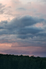 Dramatic clouds in a twilight sky, showcasing shades of gray and pink, hovering over a lush green forest, creating a serene and tranquil atmosphere in nature