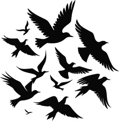 Obraz premium Birds silhouette bundle vector design with editable