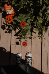 Low Angle View of Gnome and Flowers