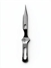 A slender, metallic surgical blade with a pointed tip, a curved midsection, and a small, oblong handle hole.  The blade exhibits a polished, reflective surface against a stark white backdrop