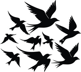 Obraz premium Birds silhouette bundle vector design with editable