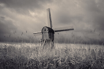The windmills of KInderdijk, early morning. Netherlands
