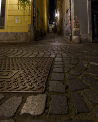 Quiet streets of Ljubljana Old Town at night with lamps and flowers