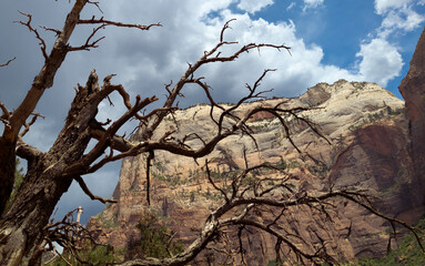Zion National Park on a Cloudy Day